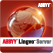 ABBYY Lingvo Dictionary Server